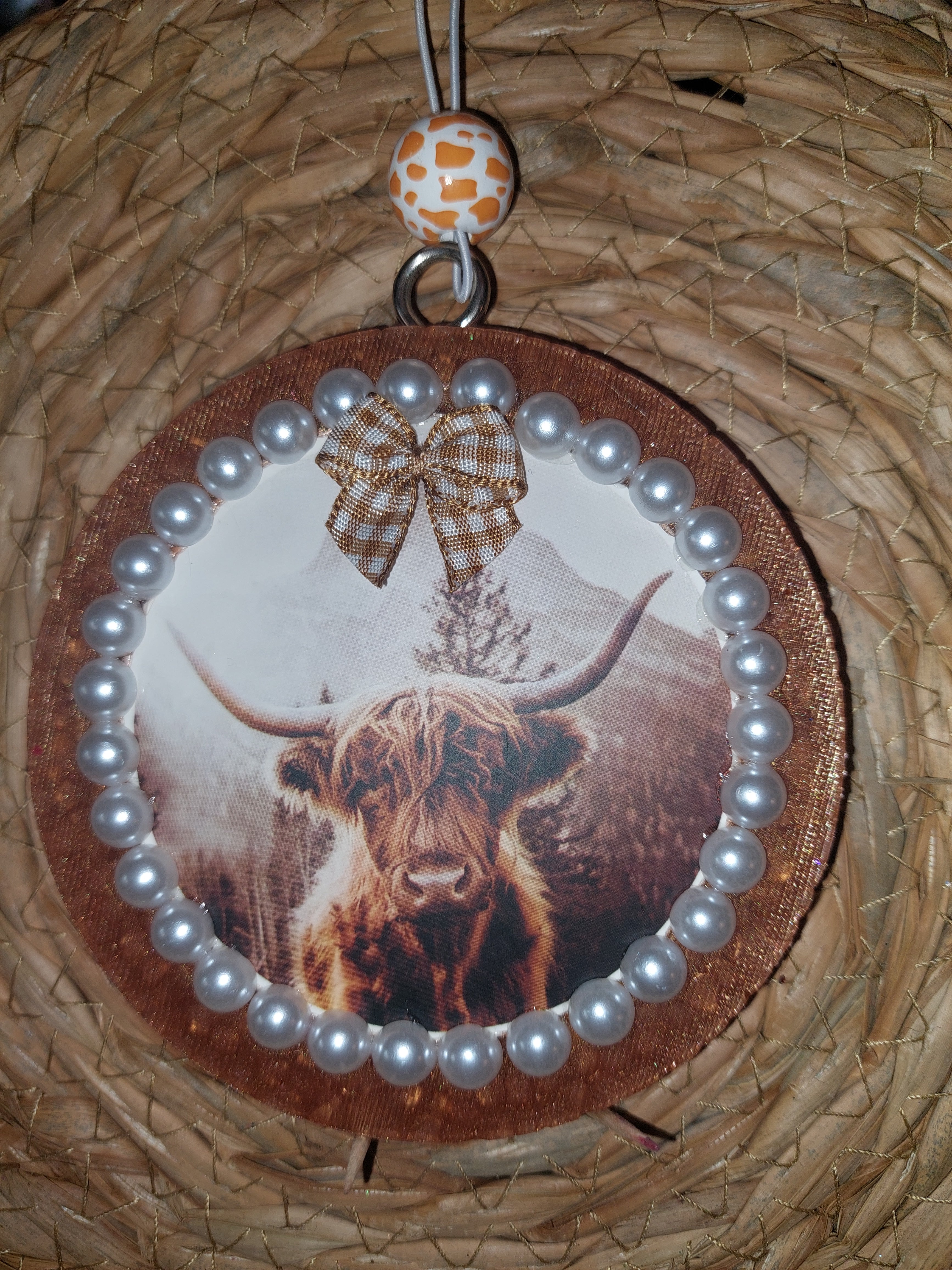 Brown cow (315)