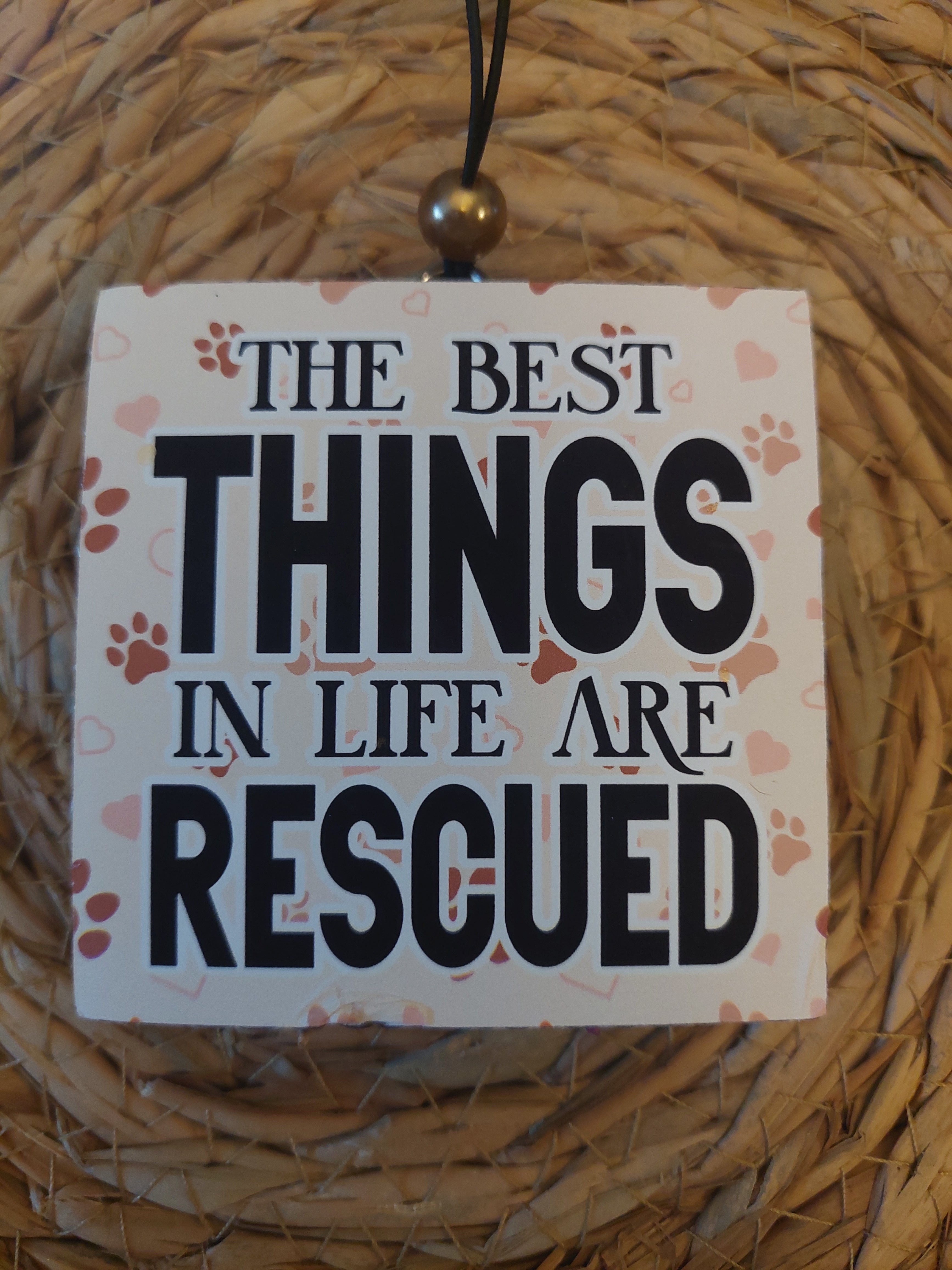 Rescued (113)